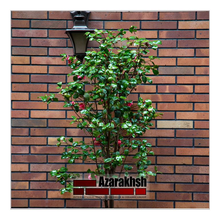 Международная группа Азарахш Фотогалерея